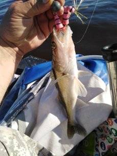 IMG_20210703_080424.jpg