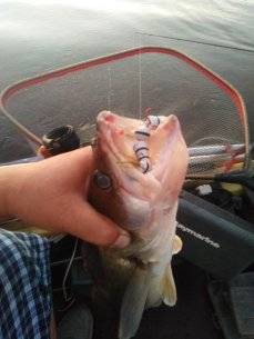 IMG_20210705_033345.jpg
