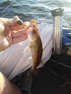 IMG_20210705_060457.jpg