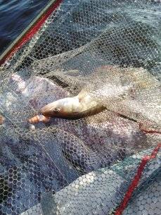 IMG_20210705_061000.jpg
