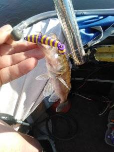 IMG_20210705_074356.jpg