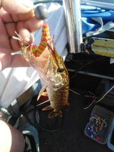 IMG_20210705_075013.jpg