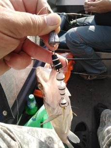 IMG_20210724_162813.jpg
