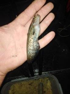 IMG_20210810_231521.jpg