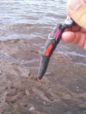 IMG_20220708_174721.jpg