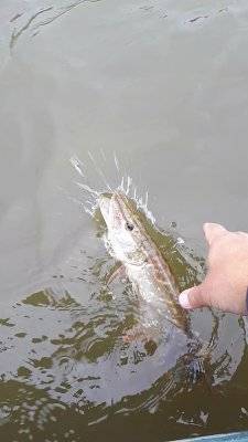 Screenshot_20220918-161459_Video Player.jpg