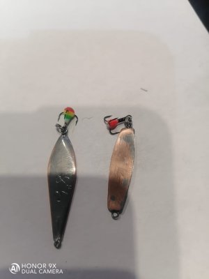 WhatsApp Image 2022-11-03 at 20.21.16.jpeg