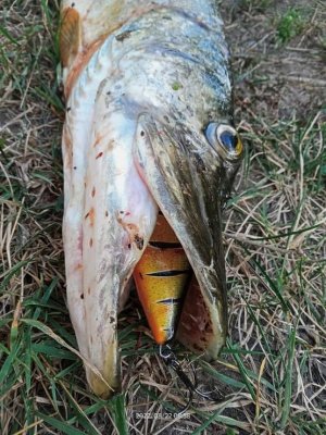 WhatsApp Image 2022-08-23 at 22.04.30.jpeg