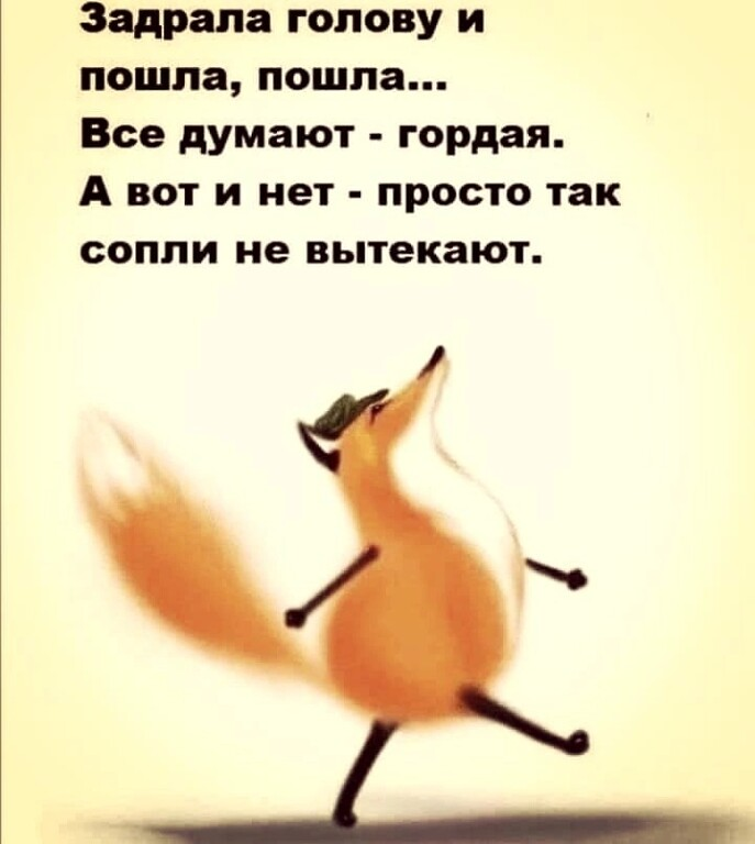 Я иду такая вся. Иду по жизни гордо и никуда я не спешу. Почему ты никогда не извиняешься я никогда не виновата. Рисунок лисы нос кверху. Лиса на метле картинки.