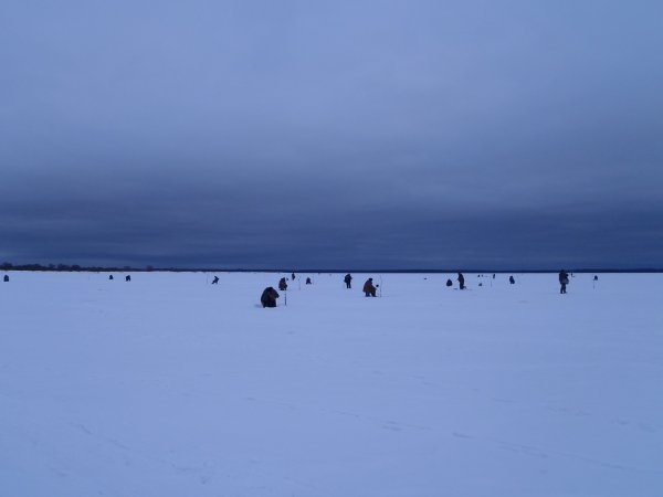 зимний хищник 2013 019.JPG