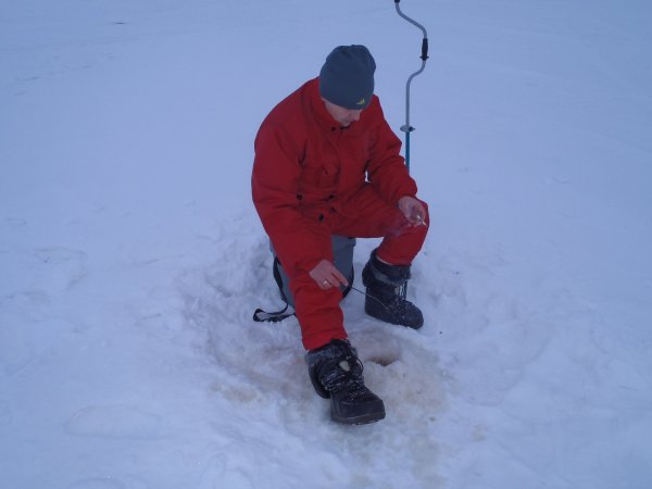 зимний хищник 2013 007.JPG