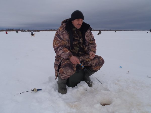 зимний хищник 2013 024.JPG