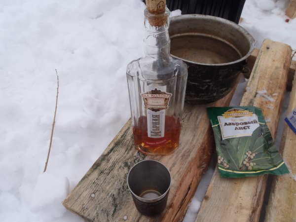 зимний хищник 2013 037.JPG