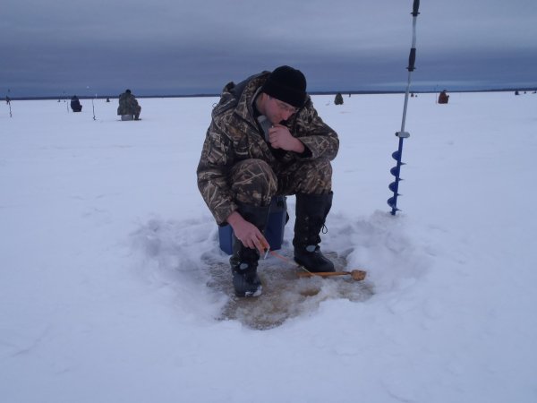 зимний хищник 2013 015.JPG