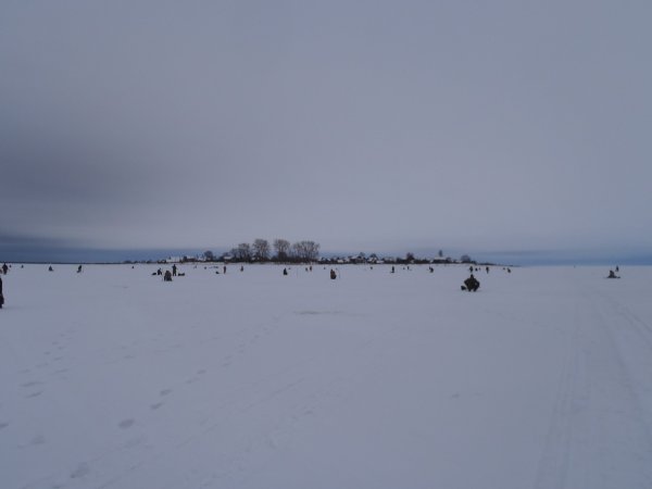 зимний хищник 2013 018.JPG