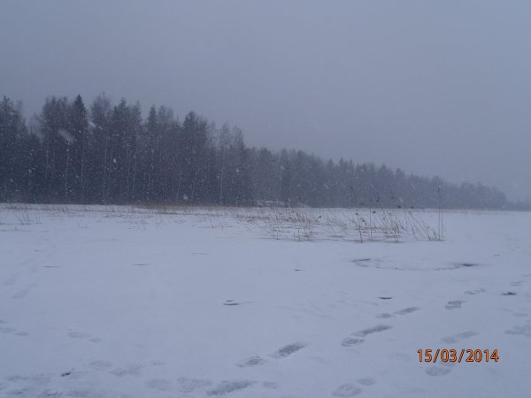 перетно 041.JPG