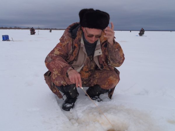 зимний хищник 2013 021.JPG