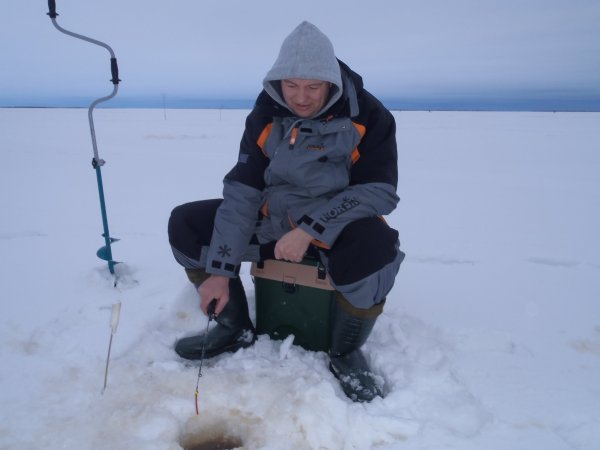 зимний хищник 2013 017.JPG