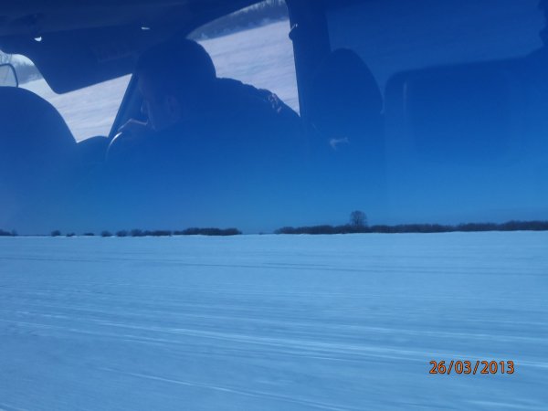 галка окунь щука 006.JPG