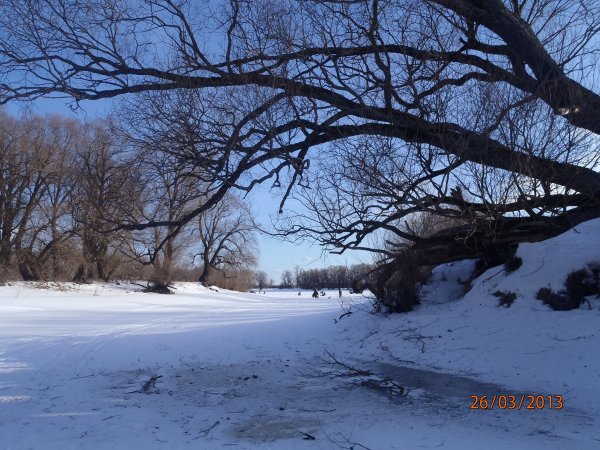 галка окунь щука 032.JPG