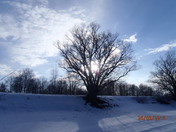 галка окунь щука 043.JPG