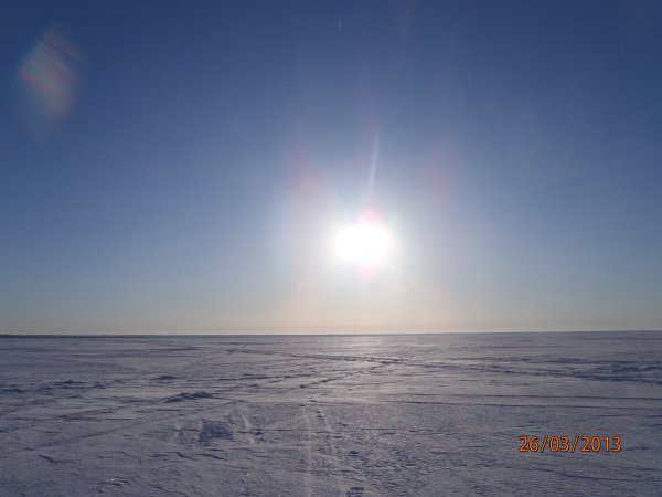 галка окунь щука 001.JPG