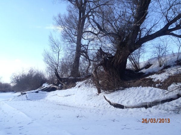 галка окунь щука 042.JPG