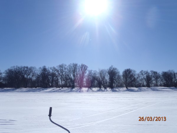 галка окунь щука 023.JPG