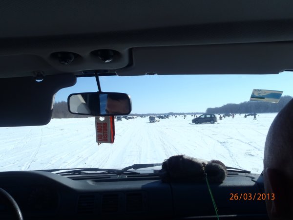 галка окунь щука 012.JPG