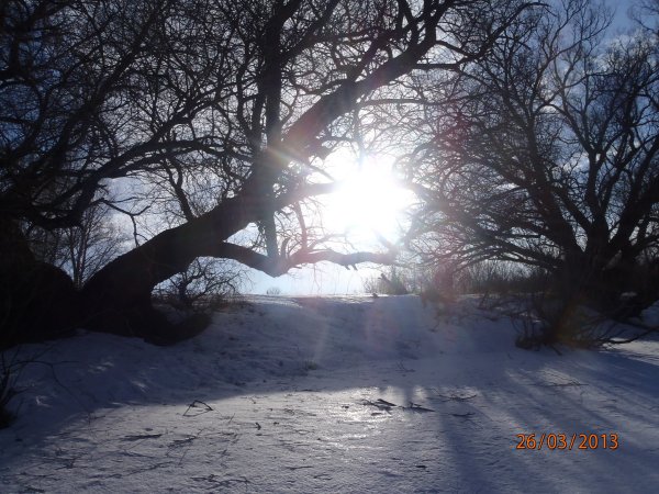 галка окунь щука 035.JPG