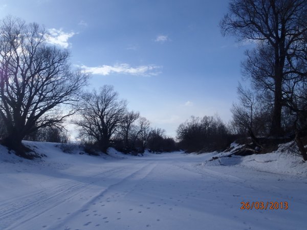 галка окунь щука 038.JPG