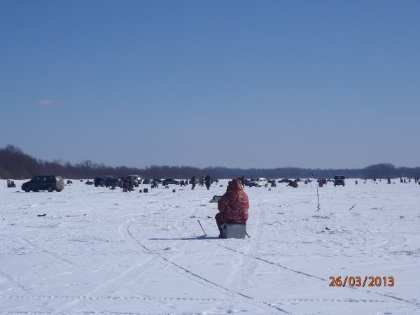 галка окунь щука 025.JPG