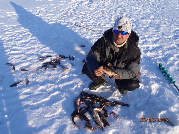 галка окунь щука 052.JPG