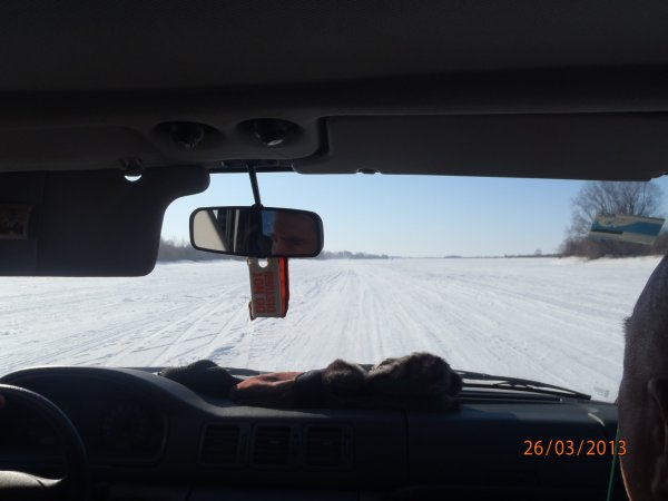 галка окунь щука 005.JPG