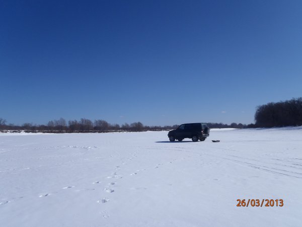 галка окунь щука 021.JPG