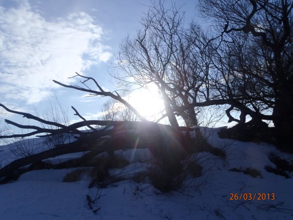 галка окунь щука 046.JPG