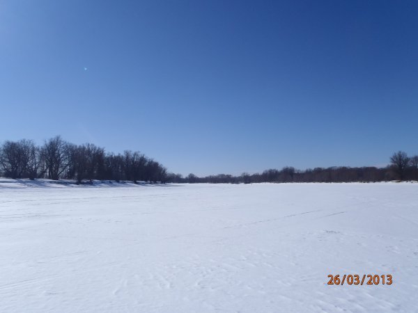 галка окунь щука 022.JPG