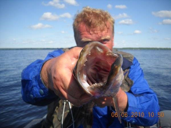 Удав Голино 108.jpg