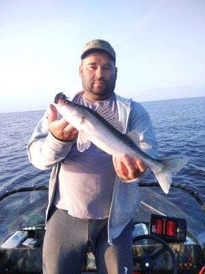 IMG_20230715_205613.jpg