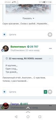 Screenshot_20240122_175804_ru.yandex.searchplugin.jpg