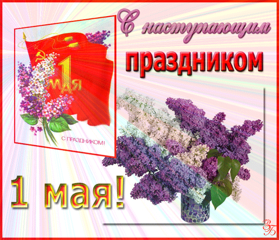 Открытка-весну-встречай-Она-идёт-удачу-за-собой-несет-открытка-с-прыгающими-бабочками-и-букетом-сирени-13100.jpg