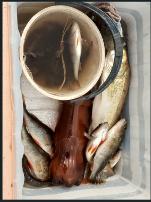 Снимок экрана 2024-06-14 170323.png