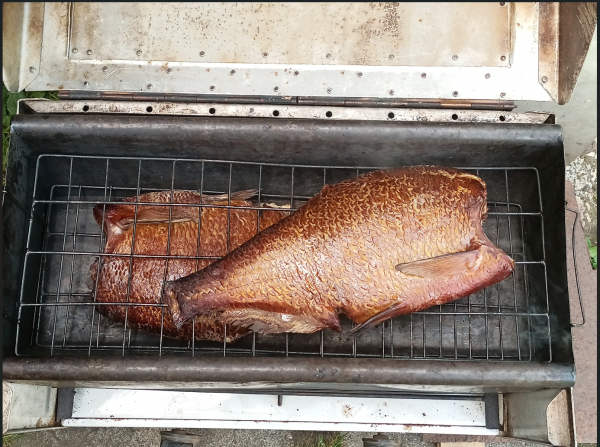 Снимок экрана 2024-06-24 195959.png