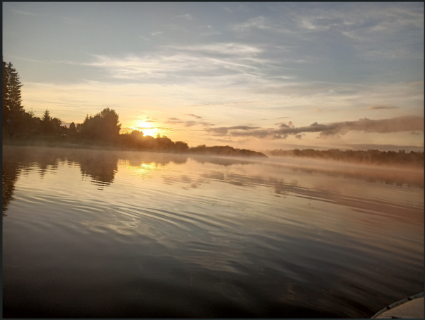 Снимок экрана 2024-06-13 192101.png