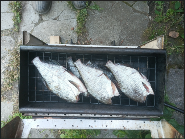 Снимок экрана 2024-06-28 191733.png