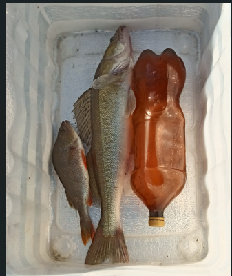 Снимок экрана 2024-06-14 170047.png