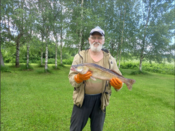 Снимок экрана 2024-06-10 124155.png