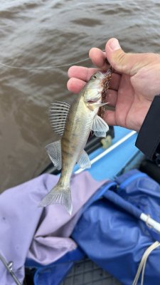 photo_2024-07-16_14-31-09 (2).jpg