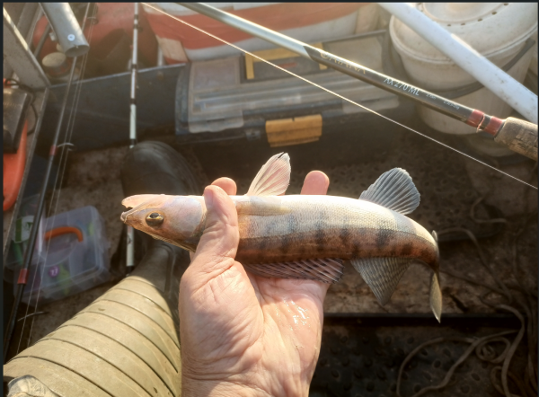 Снимок экрана 2024-07-07 124227.png