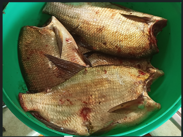 Снимок экрана 2024-07-21 163321.png